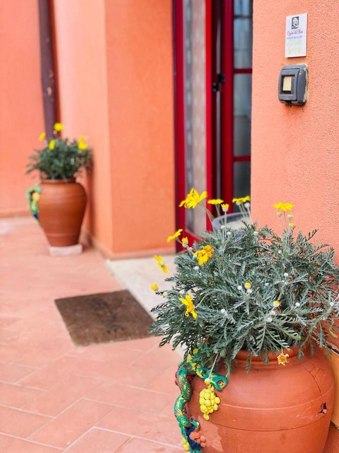 Regina Del Mare Holiday Apartments Tirrenia Exterior photo